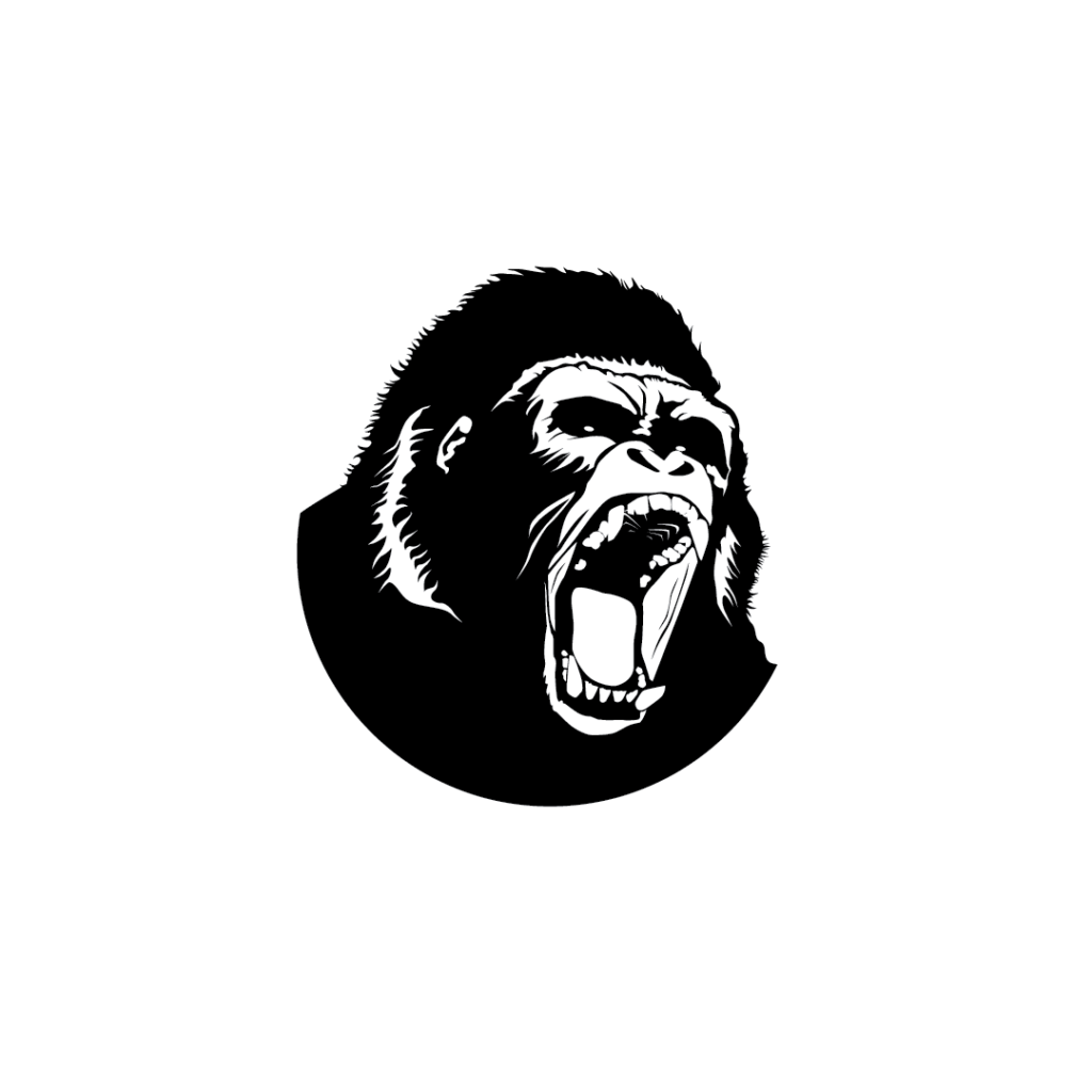 Rock Ape Records | Record Store & Label